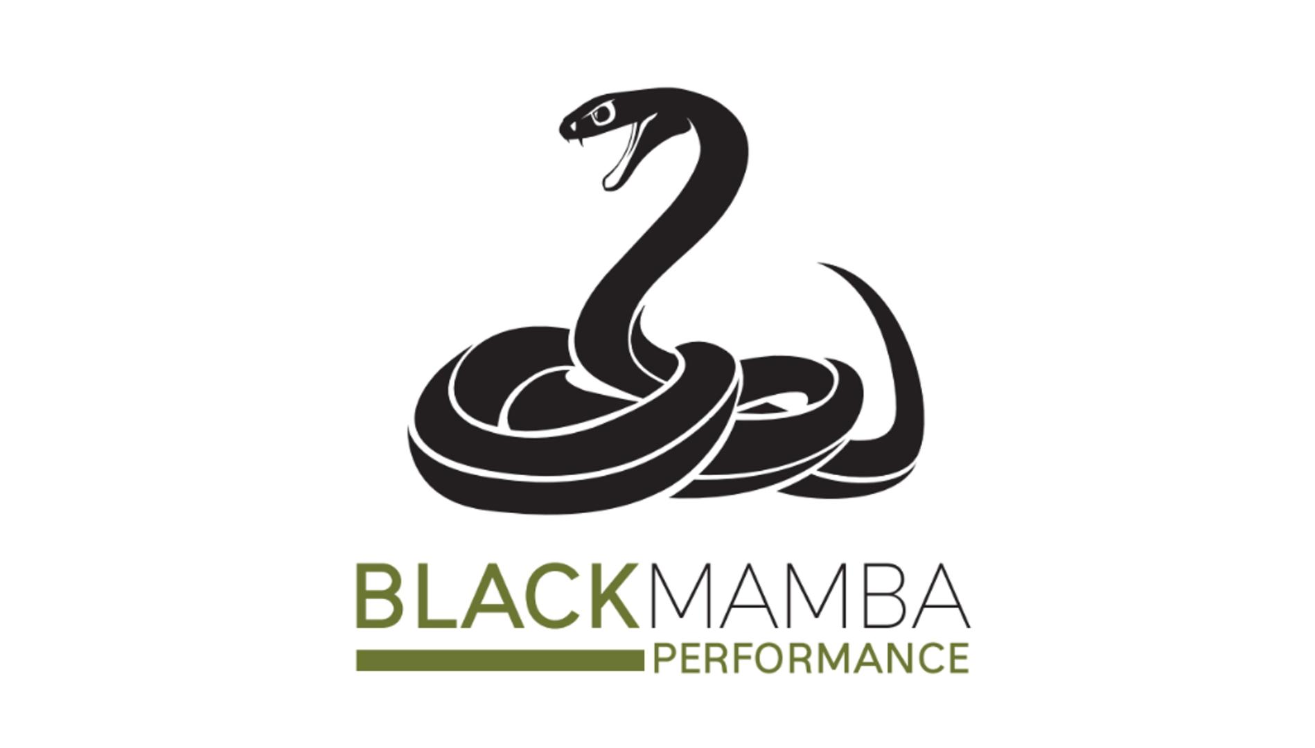 black-mamba-BLACK MAMBA PERFORMANCE.jpg